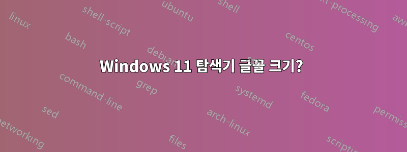 Windows 11 탐색기 글꼴 크기?
