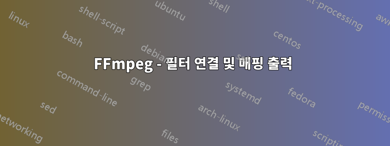 FFmpeg - 필터 연결 및 매핑 출력