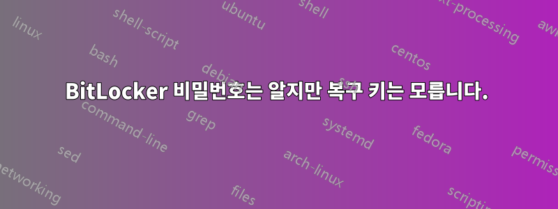 BitLocker 비밀번호는 알지만 복구 키는 모릅니다.