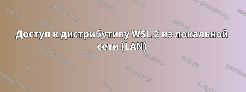 Доступ к дистрибутиву WSL 2 из локальной сети (LAN)