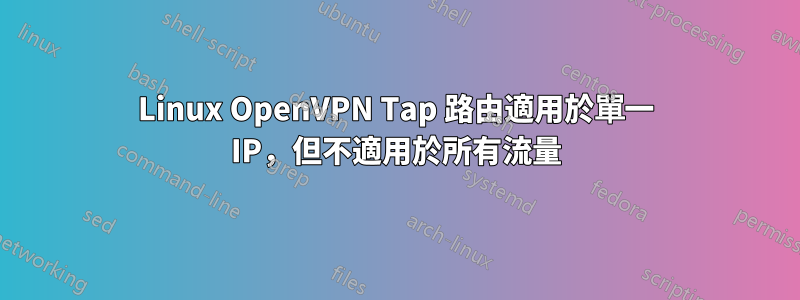 Linux OpenVPN Tap 路由適用於單一 IP，但不適用於所有流量