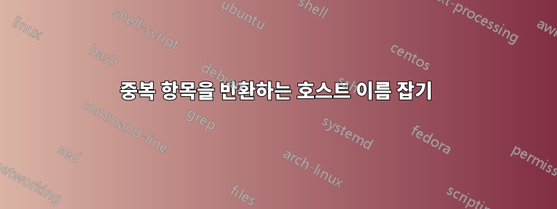 중복 항목을 반환하는 호스트 이름 잡기