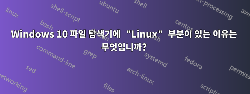 Windows 10 파일 탐색기에 "Linux" 부분이 있는 이유는 무엇입니까?