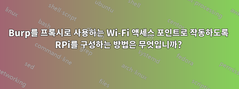 Burp를 프록시로 사용하는 Wi-Fi 액세스 포인트로 작동하도록 RPi를 구성하는 방법은 무엇입니까?