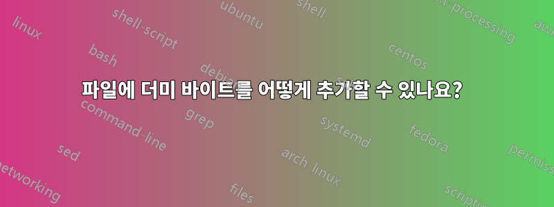 파일에 더미 바이트를 어떻게 추가할 수 있나요? 