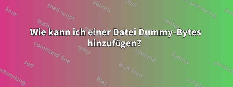 Wie kann ich einer Datei Dummy-Bytes hinzufügen? 