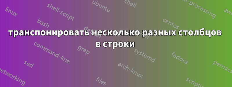 транспонировать несколько разных столбцов в строки