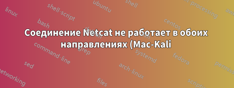 Соединение Netcat не работает в обоих направлениях (Mac-Kali), соединение отклонено