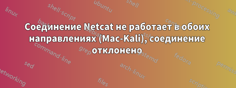 Соединение Netcat не работает в обоих направлениях (Mac-Kali), соединение отклонено
