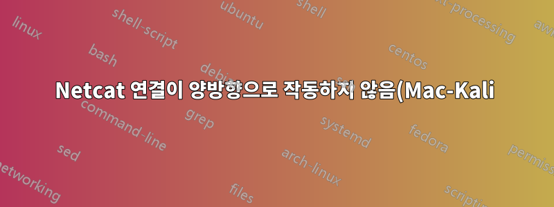 Netcat 연결이 양방향으로 작동하지 않음(Mac-Kali), 연결이 거부됨