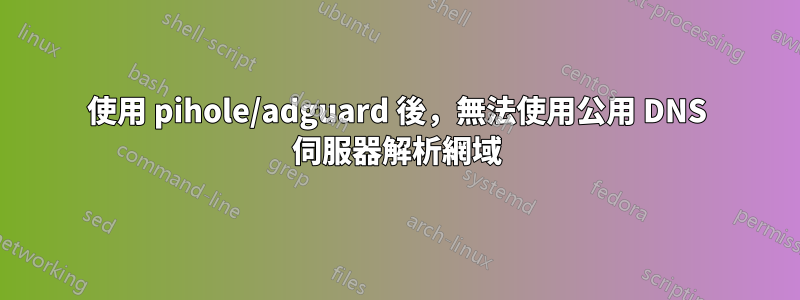 使用 pihole/adguard 後，無法使用公用 DNS 伺服器解析網域