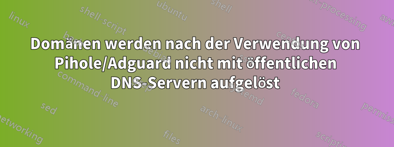 Domänen werden nach der Verwendung von Pihole/Adguard nicht mit öffentlichen DNS-Servern aufgelöst