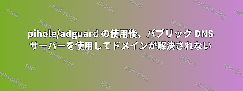 pihole/adguard の使用後、パブリック DNS サーバーを使用してドメインが解決されない