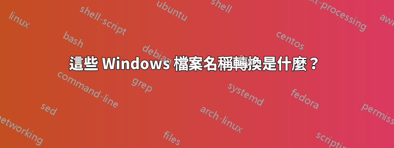 這些 Windows 檔案名稱轉換是什麼？
