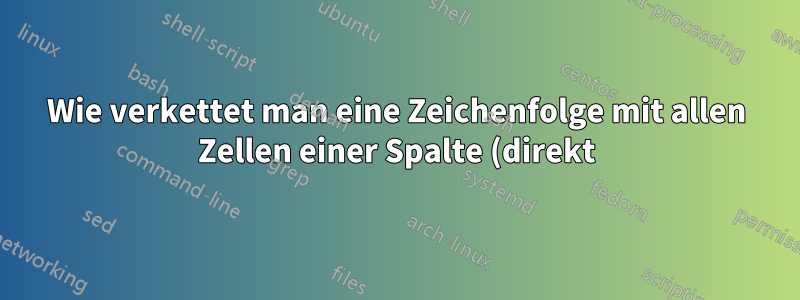 Wie verkettet man eine Zeichenfolge mit allen Zellen einer Spalte (direkt)?