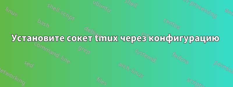 Установите сокет tmux через конфигурацию