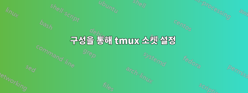 구성을 통해 tmux 소켓 설정