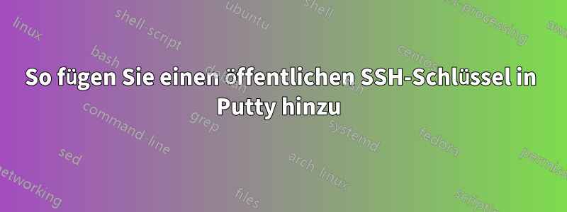 So fügen Sie einen öffentlichen SSH-Schlüssel in Putty hinzu 