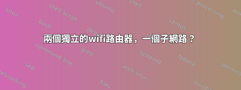兩個獨立的wifi路由器，一個子網路？