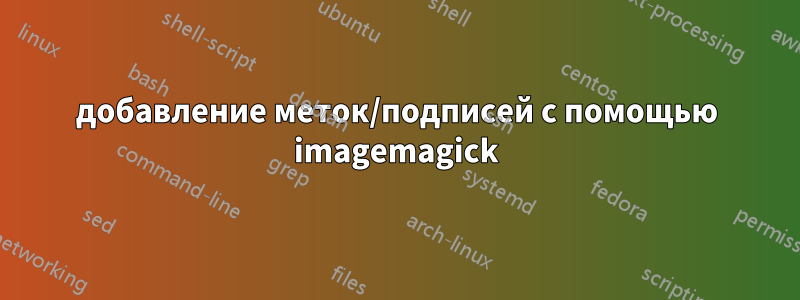 добавление меток/подписей с помощью imagemagick
