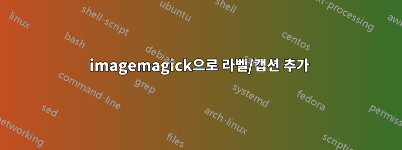 imagemagick으로 라벨/캡션 추가
