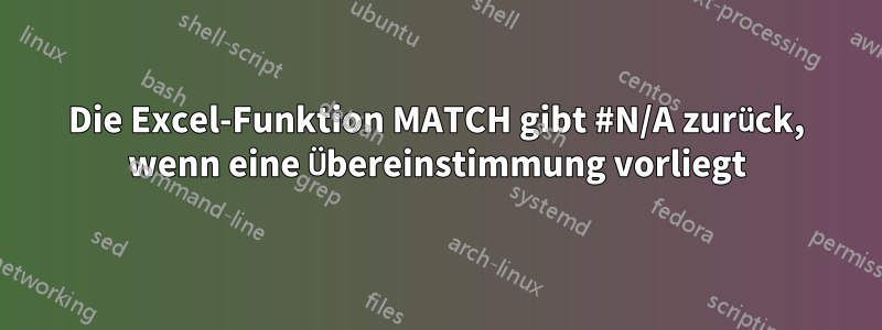 Die Excel-Funktion MATCH gibt #N/A zurück, wenn eine Übereinstimmung vorliegt