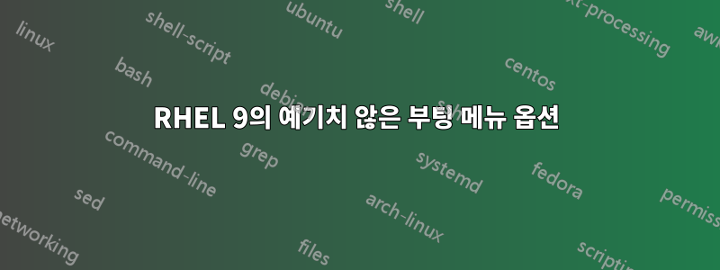 RHEL 9의 예기치 않은 부팅 메뉴 옵션