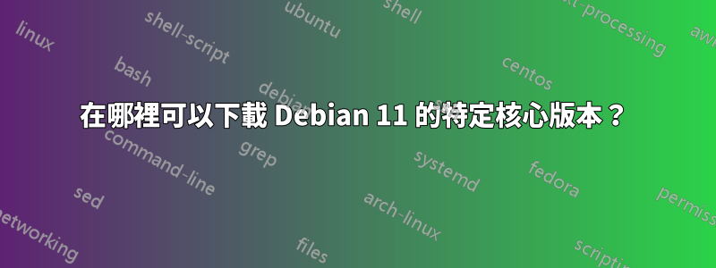 在哪裡可以下載 Debian 11 的特定核心版本？