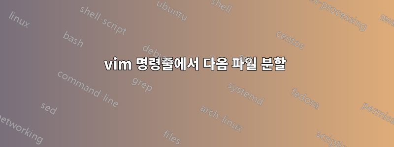 vim 명령줄에서 다음 파일 분할