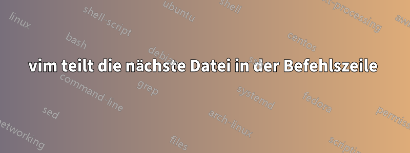 vim teilt die nächste Datei in der Befehlszeile