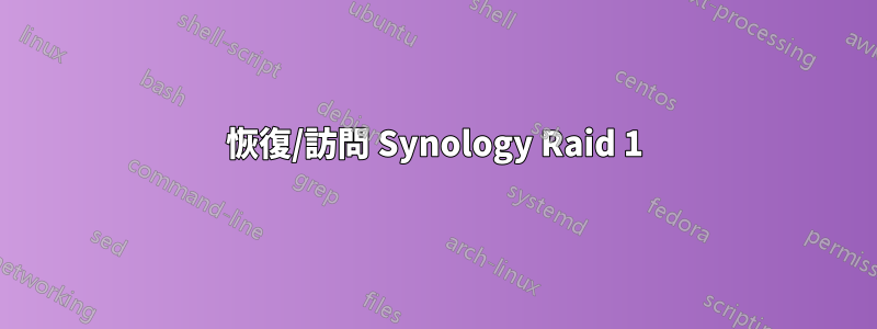 恢復/訪問 Synology Raid 1