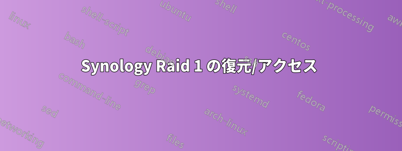 Synology Raid 1 の復元/アクセス