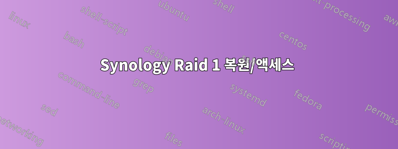 Synology Raid 1 복원/액세스