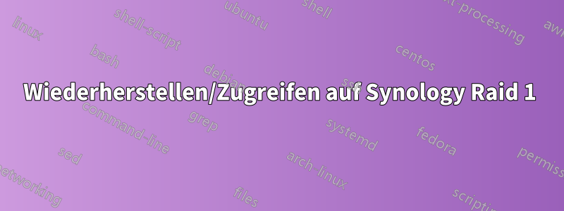 Wiederherstellen/Zugreifen auf Synology Raid 1