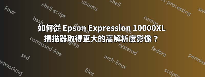 如何從 Epson Expression 10000XL 掃描器取得更大的高解析度影像？