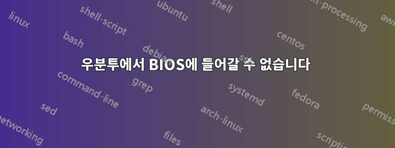 우분투에서 BIOS에 들어갈 수 없습니다