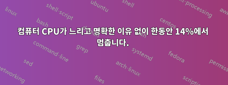 컴퓨터 CPU가 느리고 명확한 이유 없이 한동안 14%에서 멈춥니다.