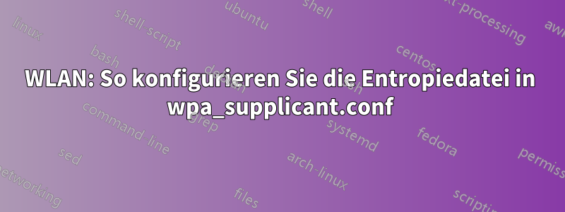 WLAN: So konfigurieren Sie die Entropiedatei in wpa_supplicant.conf