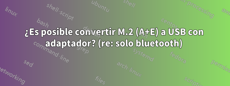 ¿Es posible convertir M.2 (A+E) a USB con adaptador? (re: solo bluetooth)