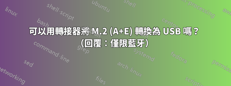 可以用轉接器將 M.2 (A+E) 轉換為 USB 嗎？ （回覆：僅限藍牙）