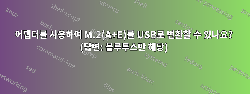 어댑터를 사용하여 M.2(A+E)를 USB로 변환할 수 있나요? (답변: 블루투스만 해당)