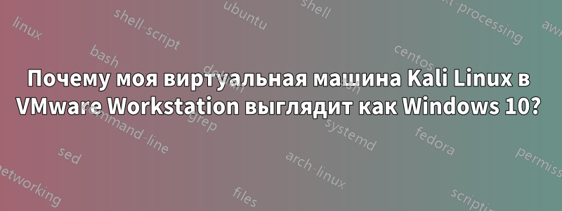 Почему моя виртуальная машина Kali Linux в VMware Workstation выглядит как Windows 10?