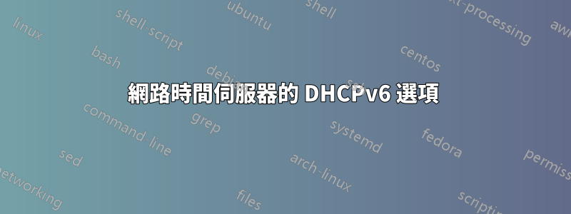 網路時間伺服器的 DHCPv6 選項