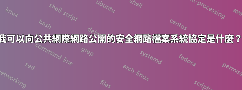 我可以向公共網際網路公開的安全網路檔案系統協定是什麼？