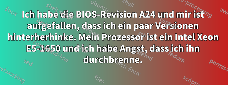 Ich habe die BIOS-Revision A24 und mir ist aufgefallen, dass ich ein paar Versionen hinterherhinke. Mein Prozessor ist ein Intel Xeon E5-1650 und ich habe Angst, dass ich ihn durchbrenne.