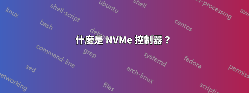 什麼是 NVMe 控制器？