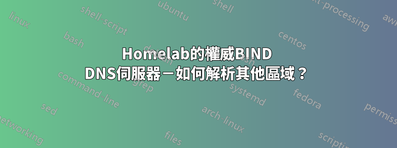 Homelab的權威BIND DNS伺服器－如何解析其他區域？