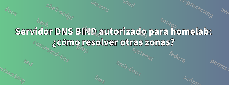 Servidor DNS BIND autorizado para homelab: ¿cómo resolver otras zonas?