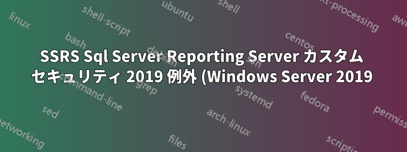 SSRS Sql Server Reporting Server カスタム セキュリティ 2019 例外 (Windows Server 2019)
