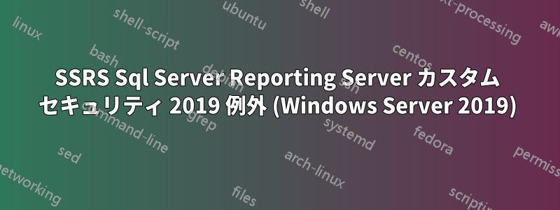 SSRS Sql Server Reporting Server カスタム セキュリティ 2019 例外 (Windows Server 2019)